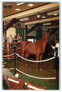 c1960 Spring Yearling Auction Keeneland Race Track Lexington Kentucky Postcard