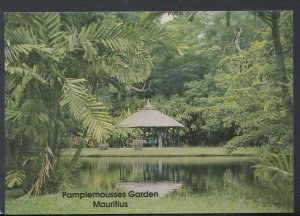 Mauritius Postcard - Botanical Garden of Pamplemousses   T6492