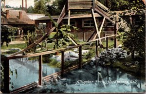 Postcard Alligator Farm in Hot Springs, Arkansas