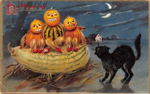 Halloween Greetings Fantasy Pumpkin Faces Black Cat Tuck Postcard JJ658984