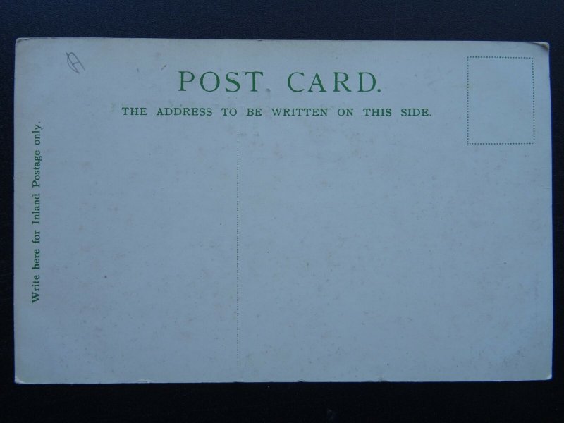 Lancashire BLACKPOOL North Shore THREE PROMENADES c1903 UB Postcard