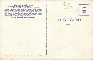 Vtg Hollywood Florida Delaware Chicken Farm Postcard