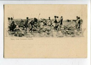 3126549 DJIBOUTI Repos d'une Caravane Somalis CAMELS Vintage PC