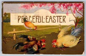 Peaceful Easter, Cockfight Roosters Hen, Antique 1912 Embossed Greeting Postcard