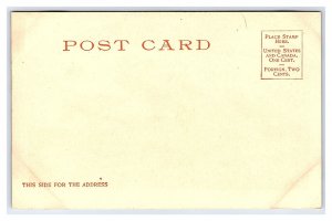 A Rocky Mountain Freight Train Postcard Donkeys Carrying Lumber