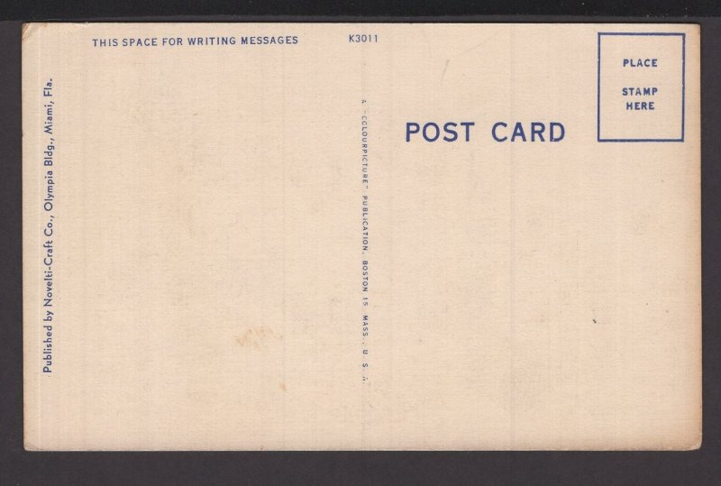 Florida Miami Beach - Palm Studded Indian Creek ~ Linen