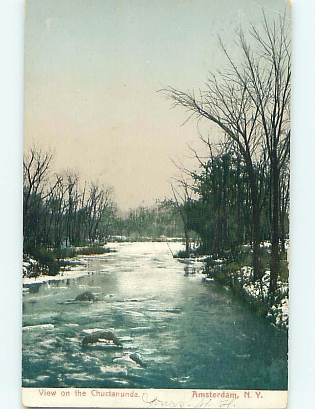 Pre-1907 TREES ALONG CHUCTANUNDA RIVER Amsterdam New York NY t3793