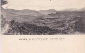 Virginia Big Stone Gap Birds Eye View Of Powell's Valley Albertype