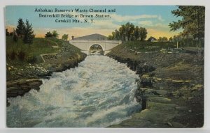 NY Catskill Mts Ashokan Reservoir Waste Channel & Beaverkill Bridge Postcard R9