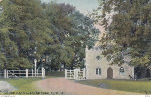 Lodge Gates , Savernake Forest , Wiltshire , England , 1905 ; TUCK 1921
