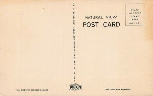 Hotel Henry Perkins, Riverhead, Long Island, N.Y., Early Postcard, Unused 