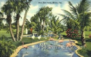 Rare Bird Farm - Miami, Florida FL Postcard
