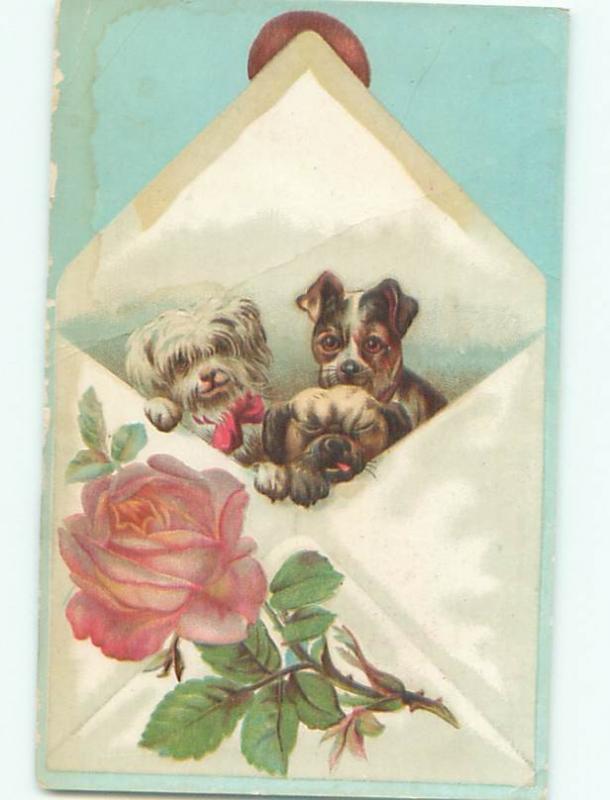 Divided-Back DOG SCENE Great Postcard AA9369