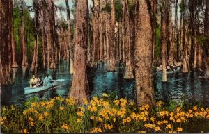 South Carolina Charleston Cypress Gardens Handcolored Albertype