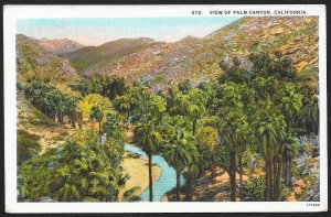 Palm Canyon California Unused c1920s