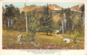 Rocky Mountain National Park Estes Park, Co, USA Burlington Train 1925 