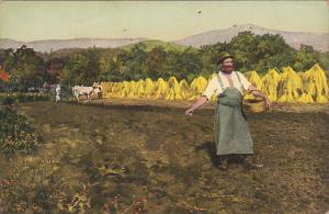 Harvest Scene Hay Making Sowing Seeds