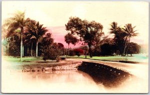 River Bridge Park View Coconut Palms And Trees Real Photo RPPC Postcard