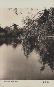 Japan Sarusawa Pond Nara Vintage RPPC C173