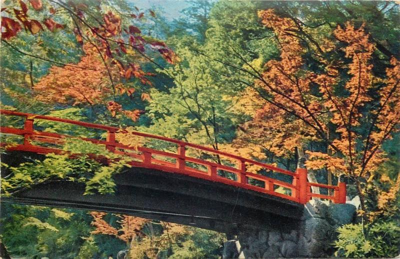 Japan autumnal view of Momijidani Park