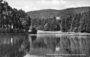 BG23586 bad sachsa sudharz schmelzteich hotel katzenstein  germany CPSM 14x9cm