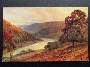 Monmouthshire WYE VALLEY from Chapel Hill / Chepstow - Old Postcard by J.Salmon