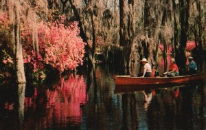 Vintage Postcard Cypress Gardens Flowers Small Boats Picturesque Charleston SC