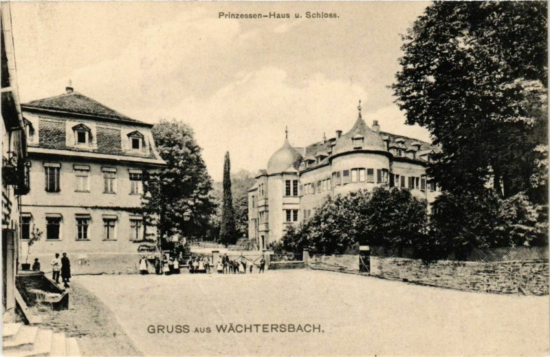 CPA AK Gruss aus WACHTERSBACH Prinzessinnen Haus u. Schloss GERMANY (865368)