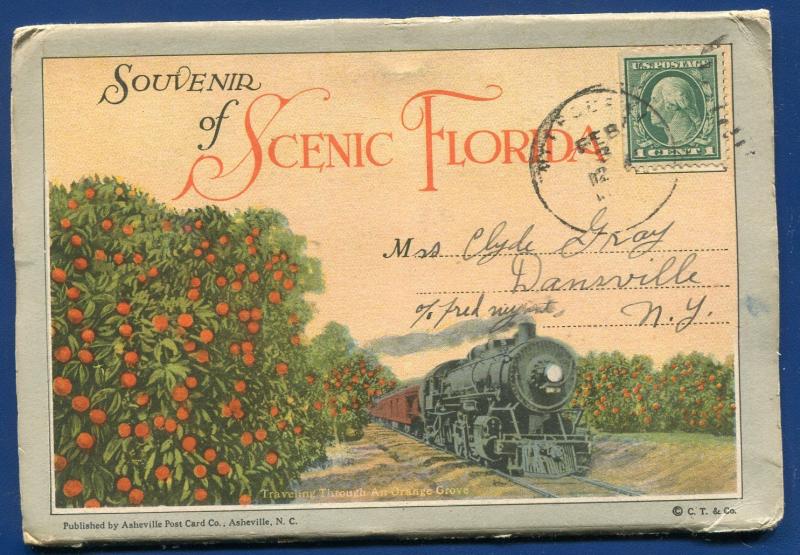 Scenic Florida 1910s railroads St Johns River night orange grove postcard folder