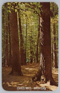 Christmas Michigan~Forest Scene~Vintage Postcard 