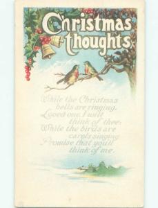 Divided-Back CHRISTMAS BIRDS SCENE Pretty Postcard W8574