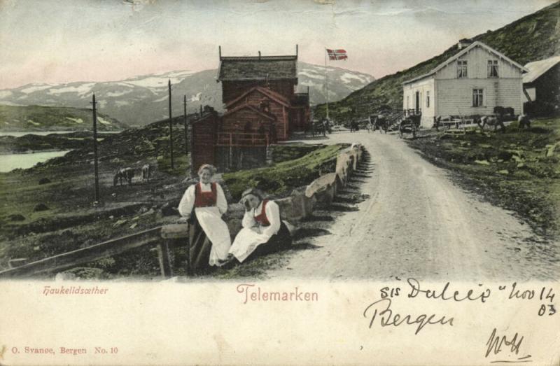 norway norge, TELEMARKEN, Haukelidsæter, Girls in Costumes (1903) Postcard