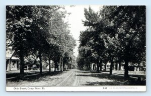 CAMP POINT, IL Illinois ~ Tree Lined OHIO STREET ~ c1910s Adams County Postcard