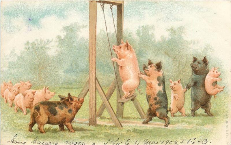 Chromo litho 1904 postcard humanized pigs swing fantasy cochons caricatures