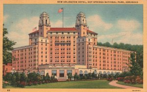 Arkansas Woodcock New Arlington Hotel Hot Springs National Park Vintage Postcard