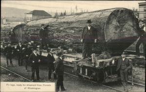 Fir Logs on RR Train Cars & Men - Washington c1910 Postcard