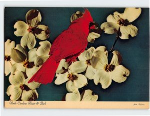 Postcard North Carolina Flower & Bird North Carolina USA