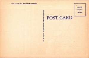 Christ Church Greenville SC South Carolina Linen Postcard VTG UNP Vintage Unused 