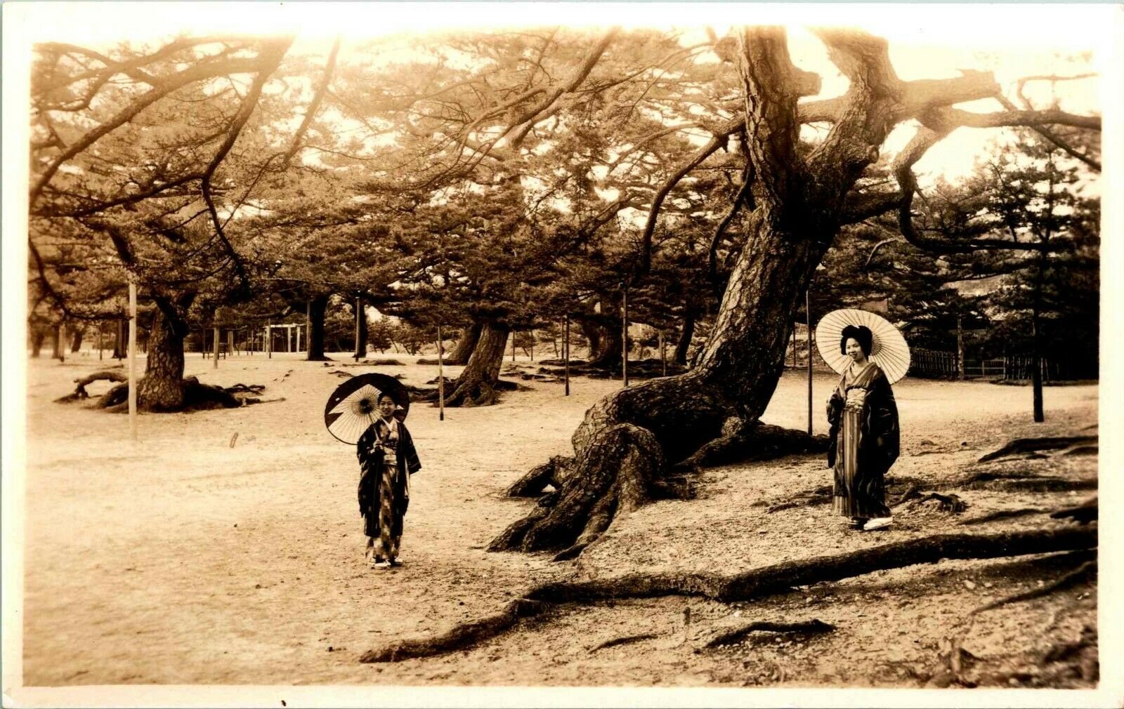 Vtg 1910 30 Real Photo Rppc Geisha Women Traditional Garb Maiko Park Kobe Japan Asia And Middle 1808