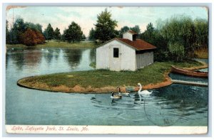 1908 Lake Lafayette Park Exterior Canoe Swan St. Louis Missouri Vintage Postcard