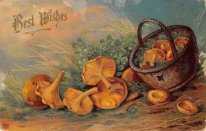 Best Wishes Greetings Mushrooms and Clovers in Basket Vintage Postcard AA71523