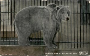 Seattle Washington Glacier Bear Woodland Park Zoo c1900-20s Vintage Postcard