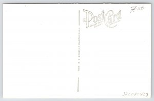 Springfield IL~Cavalry Equestrian Group Statue @ Lincoln Tomb ~1940s Grogan