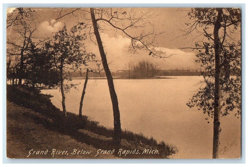 1907 Grand River Trees Below Grand Rapids Michigan MI Posted Vintage Postcard