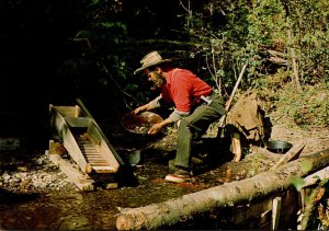 Prospector Panning For Gold British Columbia Canada