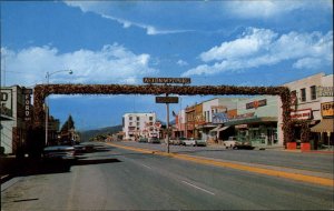 Afton Wyoming WY Elk Horn Arch Classic Cars Texaco Gas Station Vintage Postcard