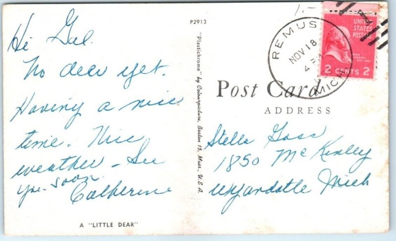 Postcard - A Little Dear