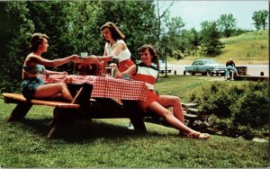 Postcard Girls Picnic Allegany State Park - New York 1950s JE4