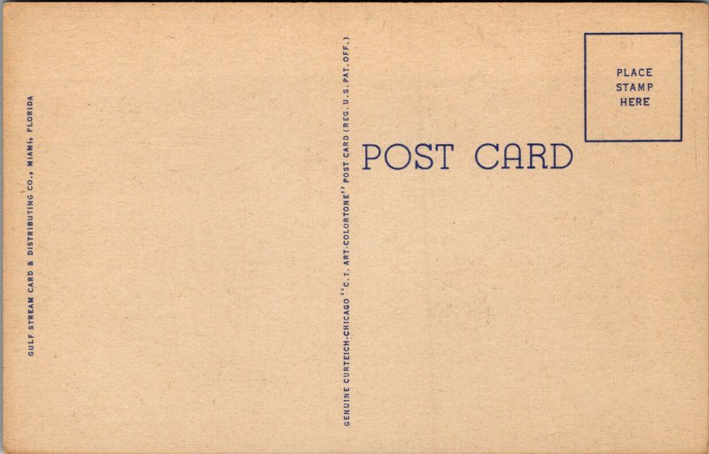 Vtg 1940s Palm Lined Drive Everglades Natiponal Park Florida FL Linen Postcard