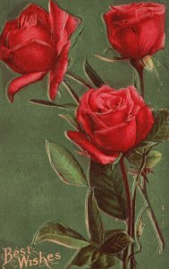 Vintage Postcard 1908 Best Wishes Red Roses Greeting Embossed